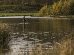 Fly fishing